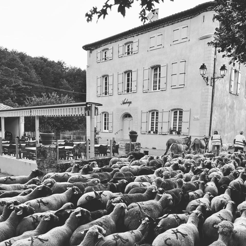 Auberge Du Bourguet Brenon Kültér fotó
